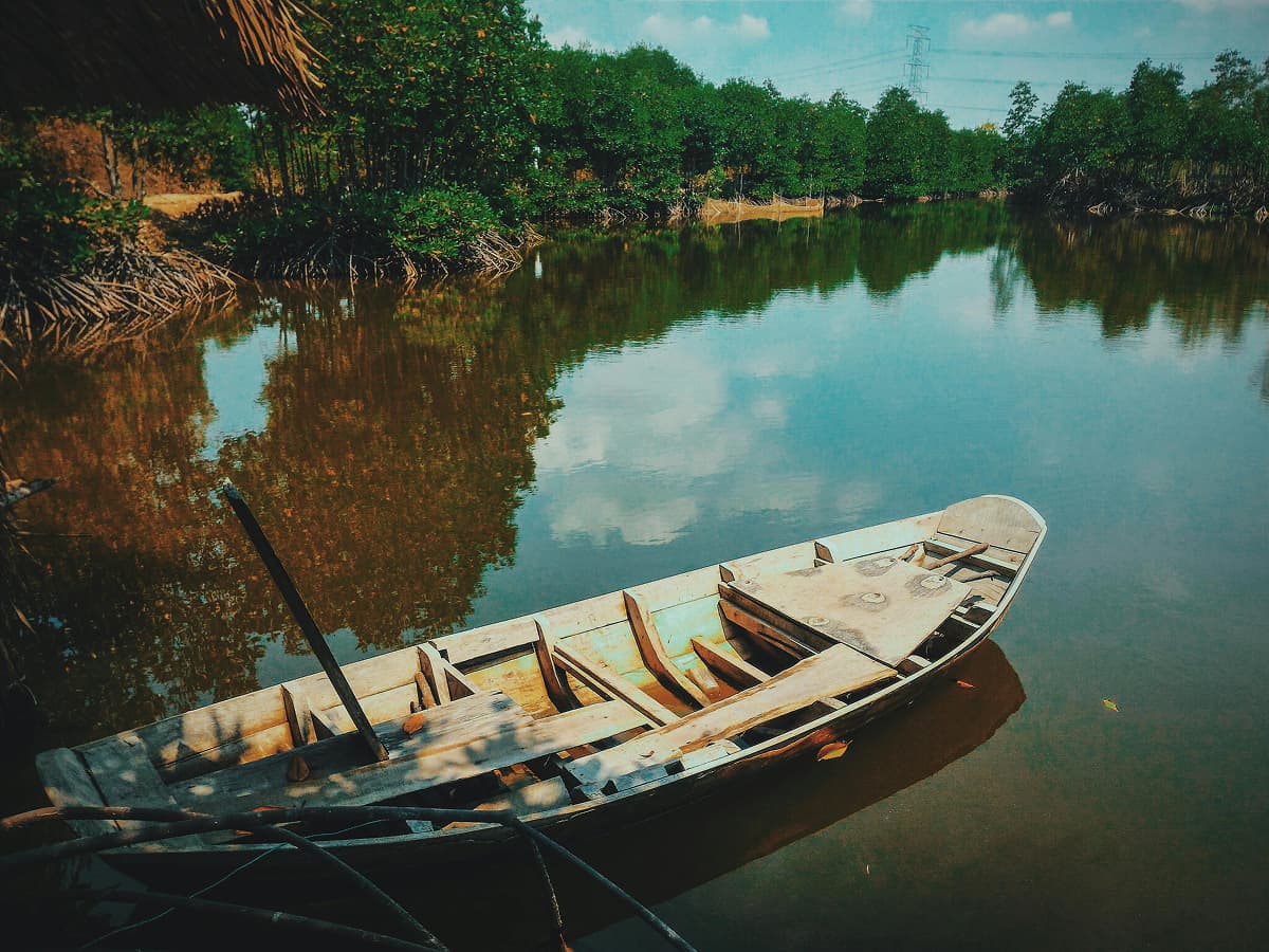 Mangrove Land Crisis: Investment vs Sustainability